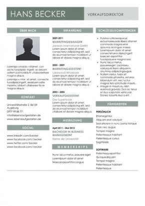 Resume Template Word Column Resume Template Word Column